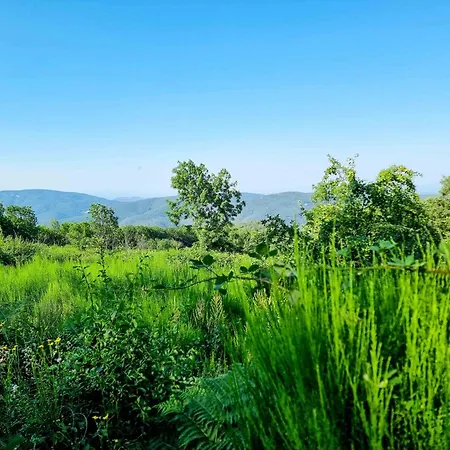 Mas Caners - 2 Eco-chic Lodges, Nature & Biological Pool
