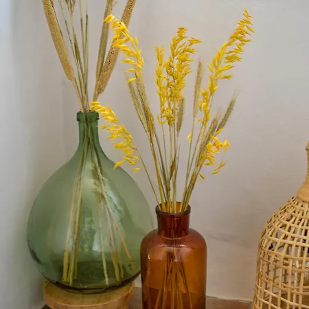 Mas Caners - Eco-chic Lodges, Nature & Biological Pool