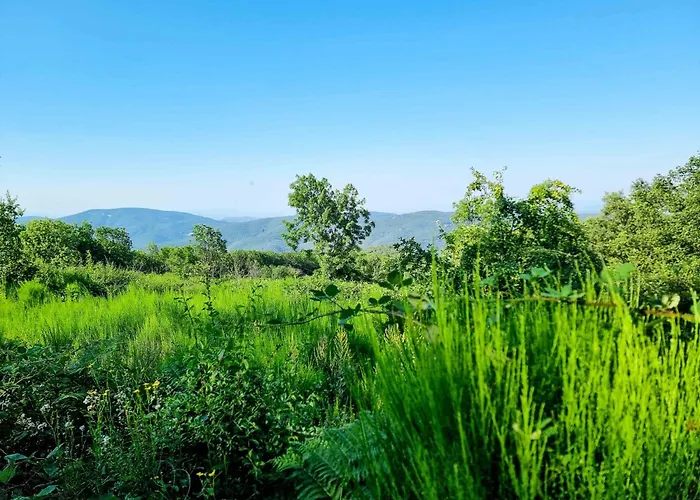 Mas Caners - 2 Eco-chic Lodges, Nature & Biological Pool
