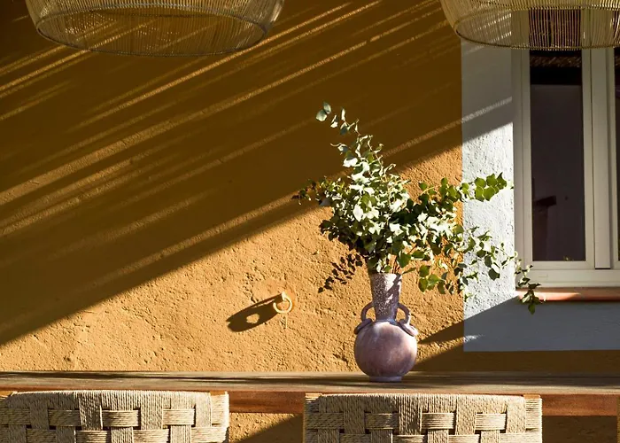 Mas Caners - 2 Eco-chic Lodges, Nature & Biological Pool Holiday home *